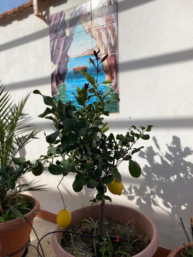 Medusa Exclusive Rooftop Taormina Apartment Ngoại thất bức ảnh